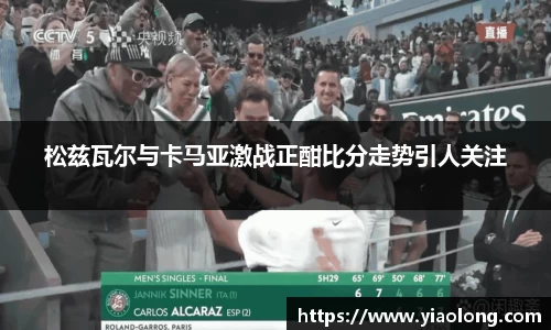mk体育平台